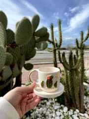 Kaktüs Fincan